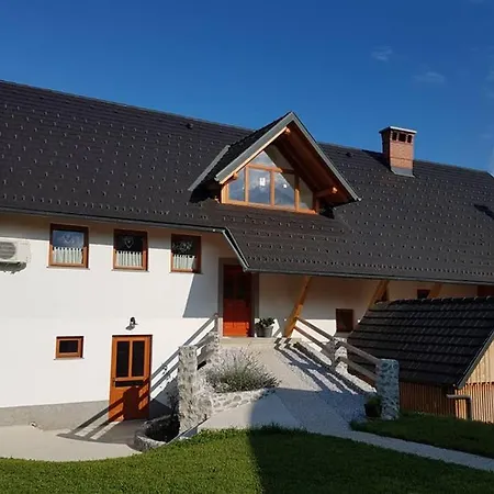 Apartment Castle View Nest *