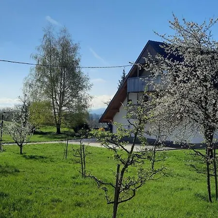 Castle View Nest Apartment *