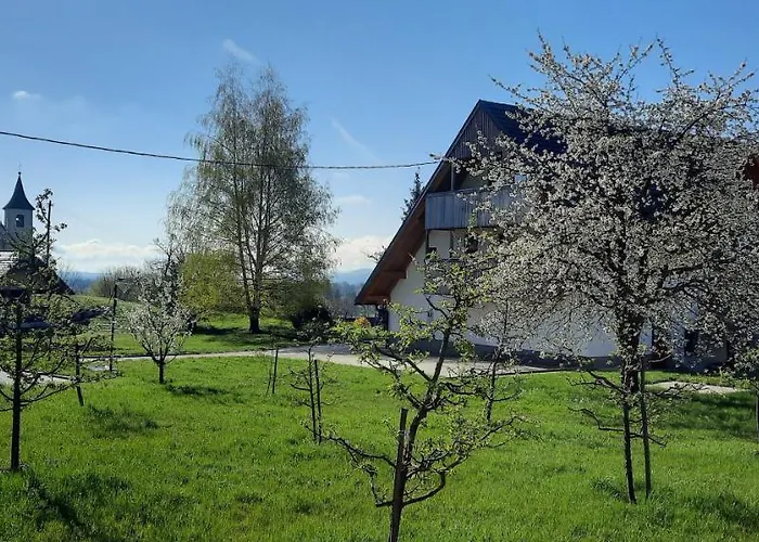 Castle View Nest Apartment *