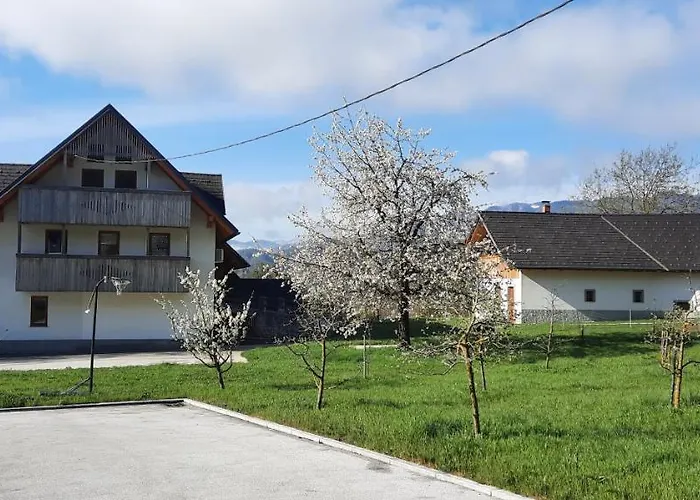 Castle View Nest Apartment *